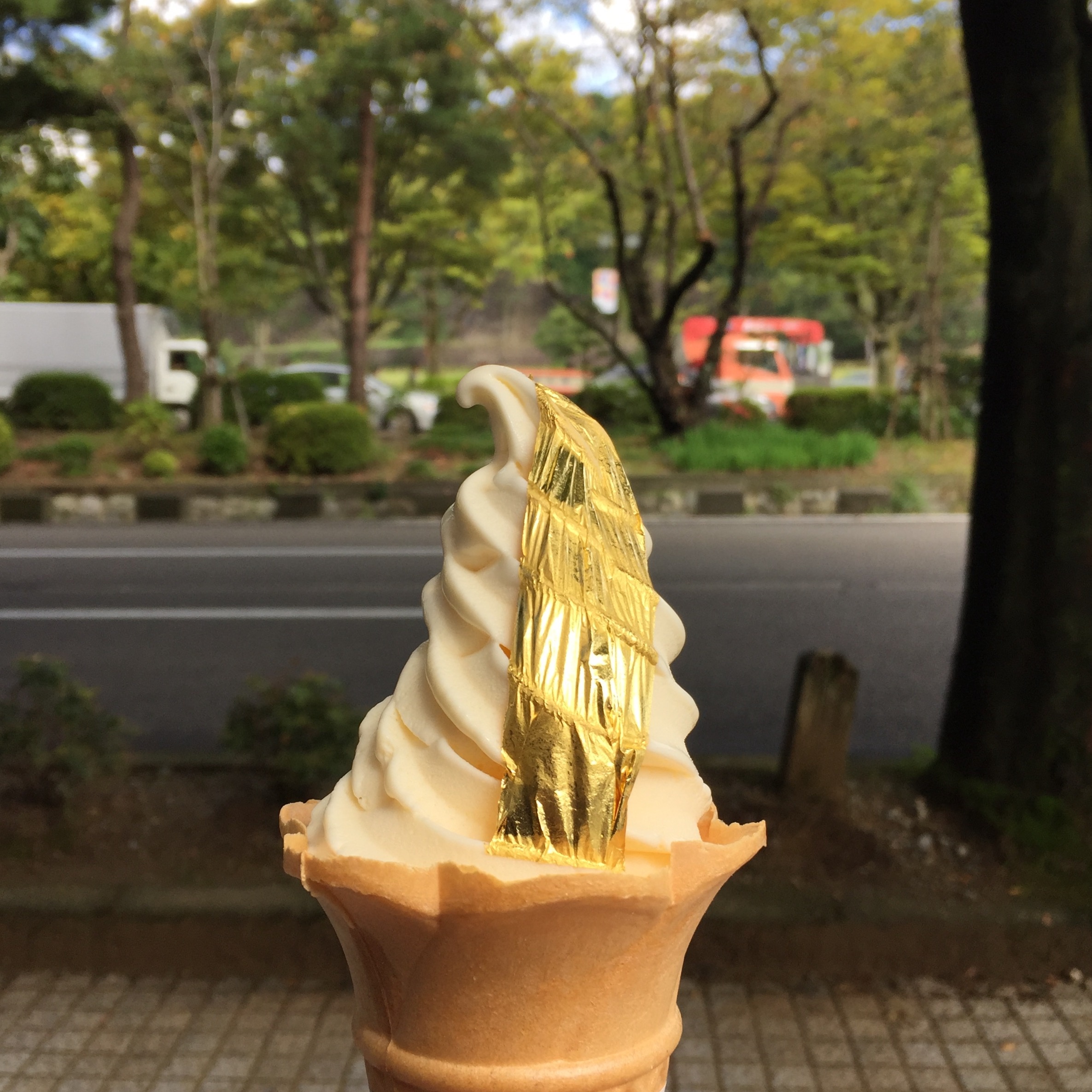 Kem dat vang Nhat Ban hut khach hinh anh