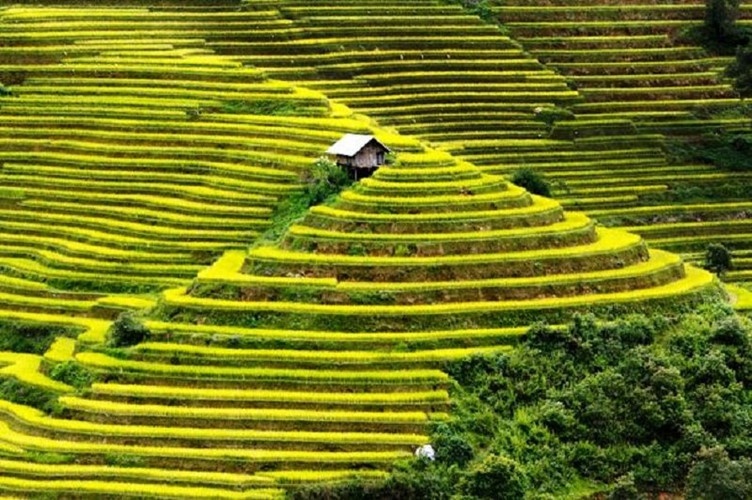 Nhà trơ trọi giữa thiên nhiên ảnh 2 Nha tro troi giua thien nhien anh 2