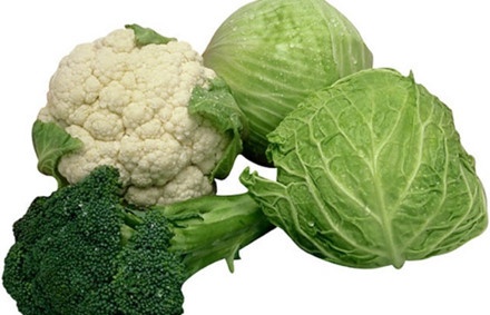 Thuc pham tot cho phoi anh 4