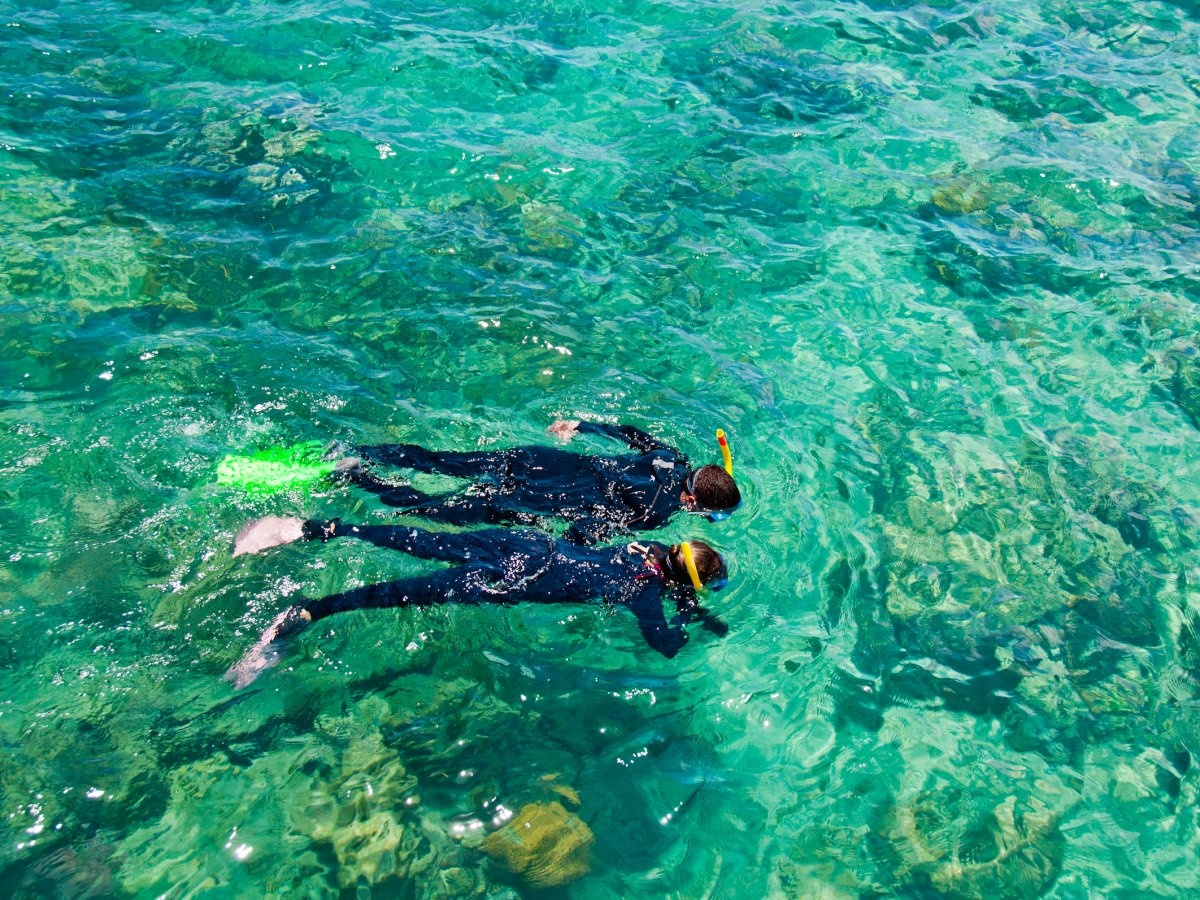 Ky quan thien nhien Great Barrier anh 3