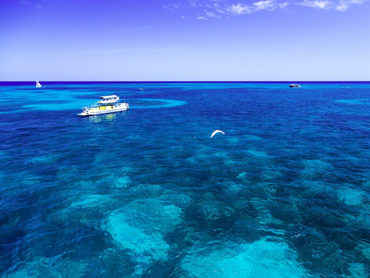 Ky quan thien nhien Great Barrier anh 5