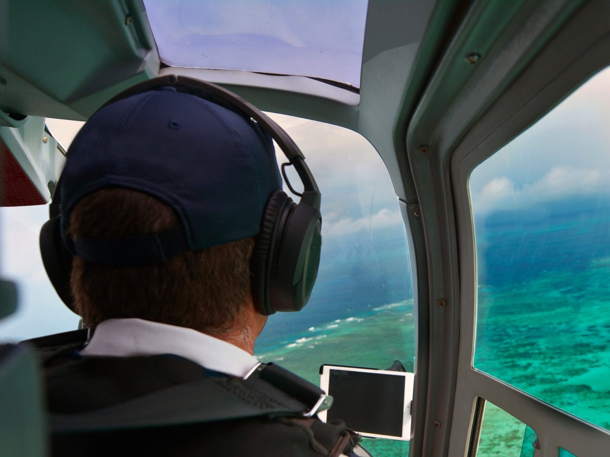 Ky quan thien nhien Great Barrier anh 7