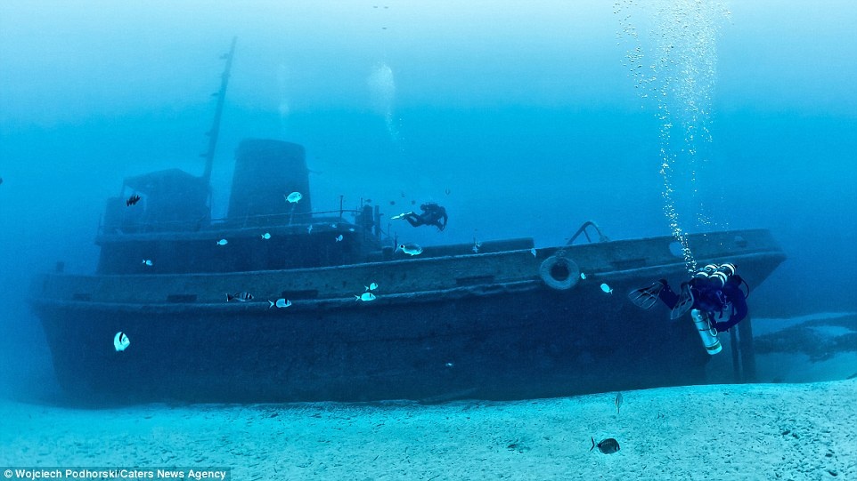 Xac tau dam o Malta anh 12