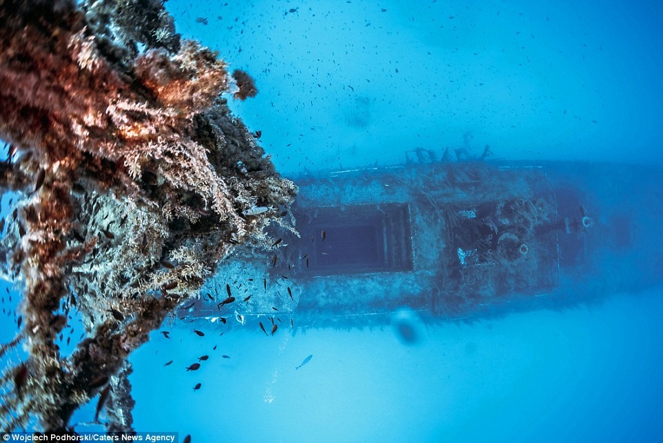 Xac tau dam o Malta anh 14