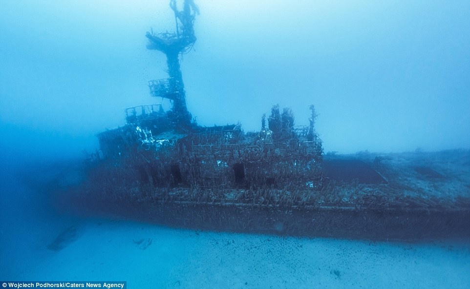 Xac tau dam o Malta anh 15