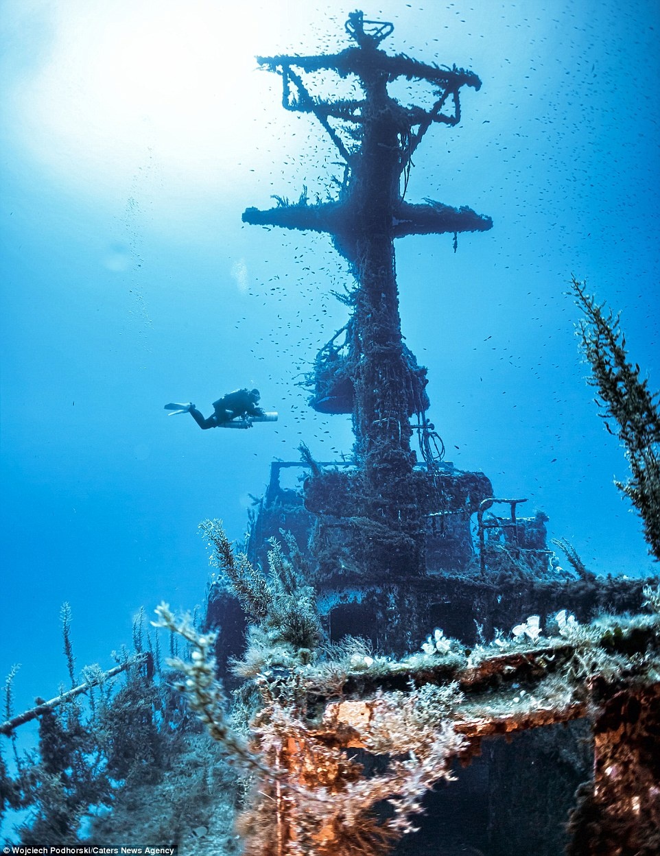 Xac tau dam o Malta anh 5