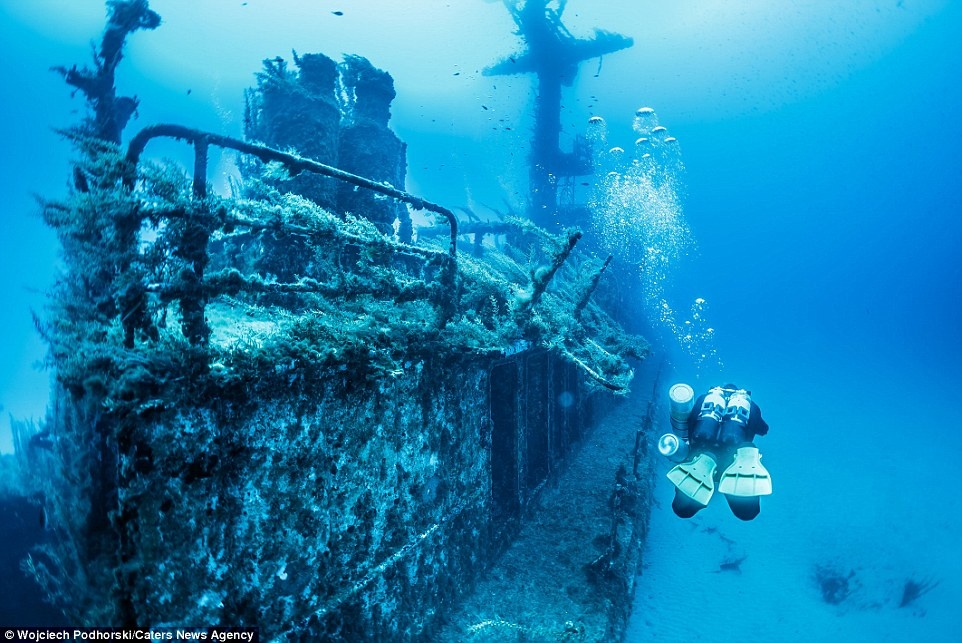 Ve dep ma mi cua xac tau dam duoi day dai duong hinh anh