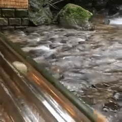 Mon mi lanh truot ong tre doc dao cua Nhat hinh anh