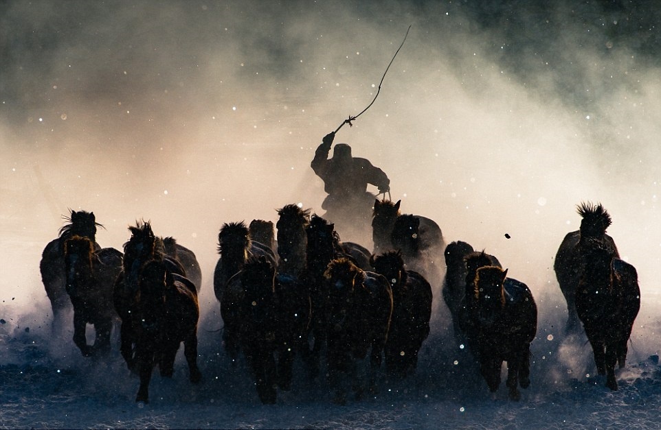 Nhung buc anh du lich ngoan muc nhat the gioi 2016 hinh anh