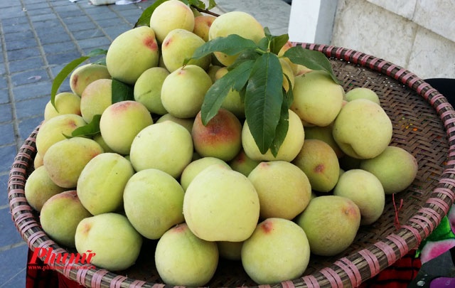 Tac dung cua qua dao anh 2