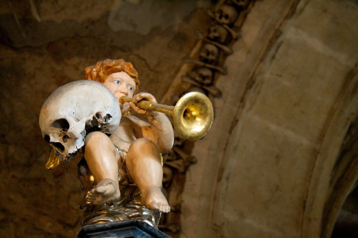 Nha nguyen xuong nguoi o Czech anh 14