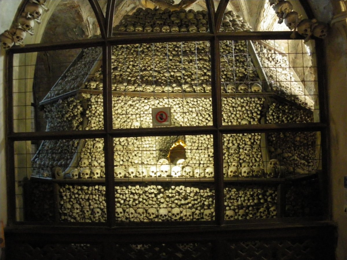 Nha nguyen xuong nguoi o Czech anh 15