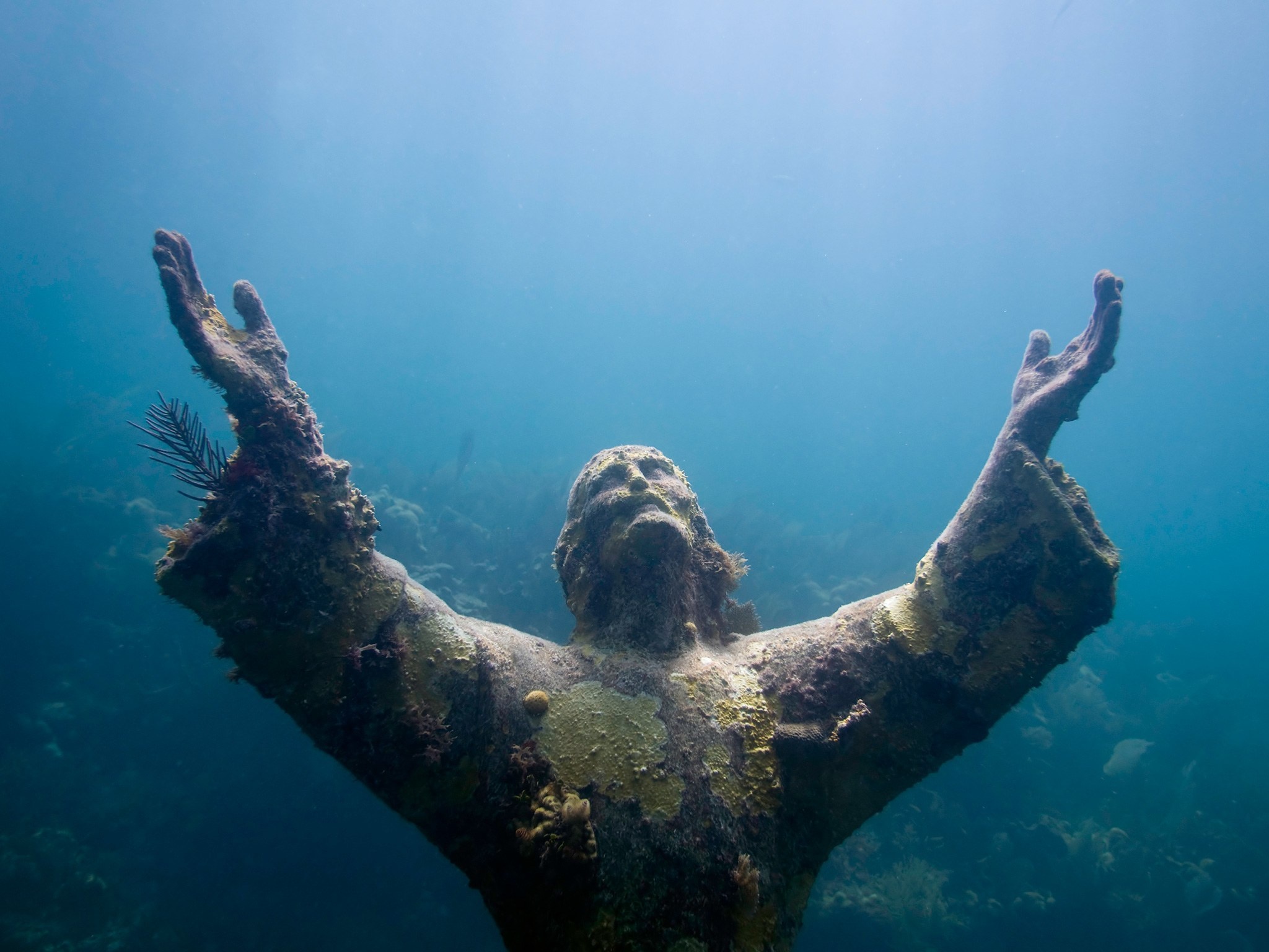 Diem tham quan duoi day bien anh 7