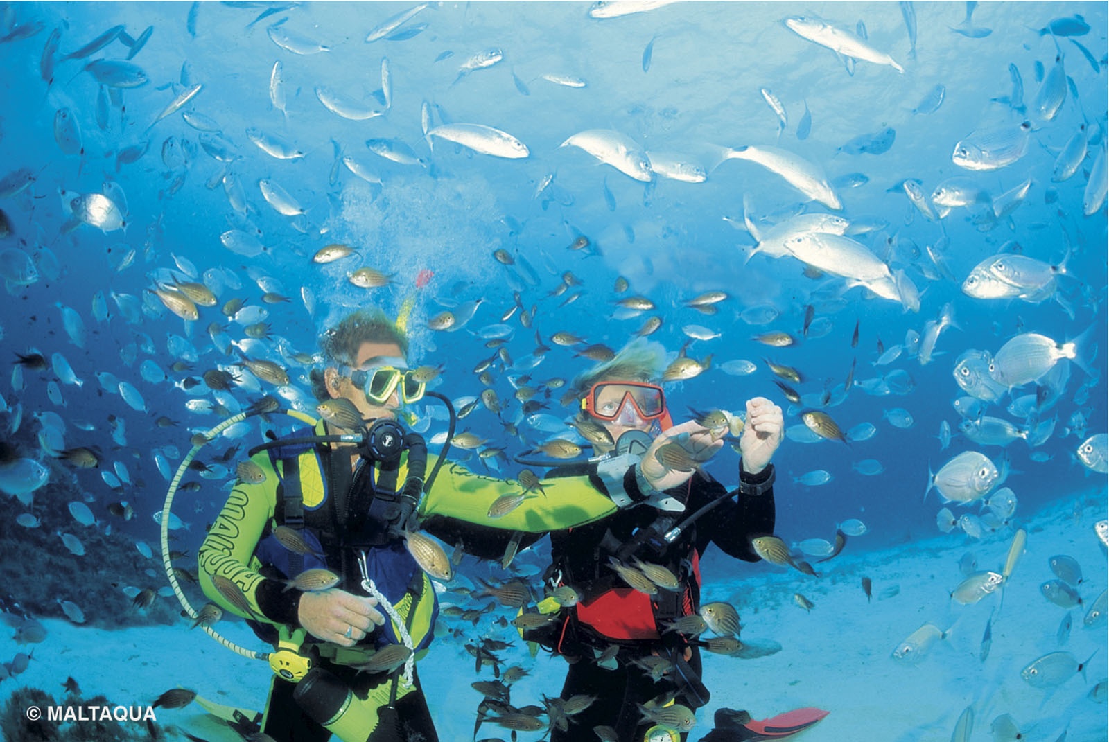 Quoc dao Malta anh 12