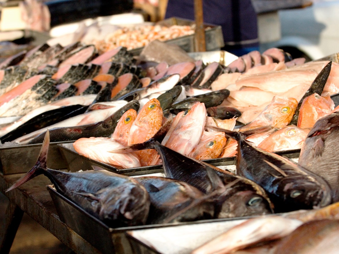 Quoc dao Malta anh 13