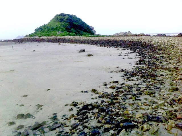 Dao Ngoc Vung anh 10