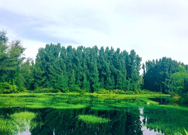 Dao Ngoc Vung anh 11