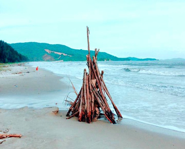 Dao Ngoc Vung anh 12