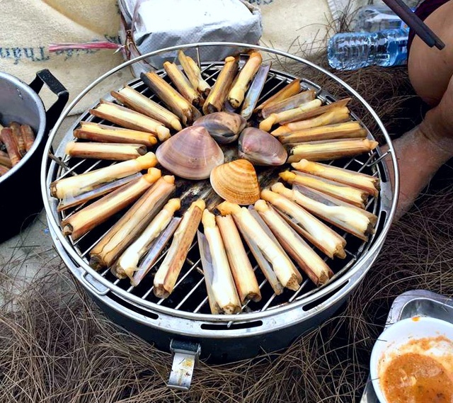 Dao Ngoc Vung anh 13