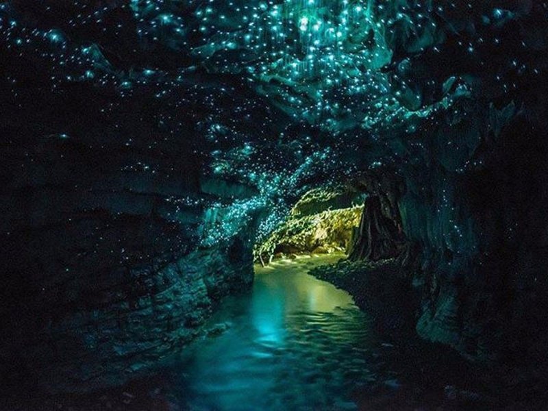Hang Sơn Đoòng lớn nhất thế giới ảnh 4 Hang Son Doong lon nhat the gioi anh 4