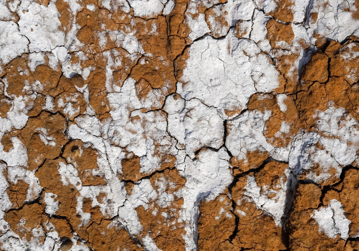 Doi cat biet hat anh 11