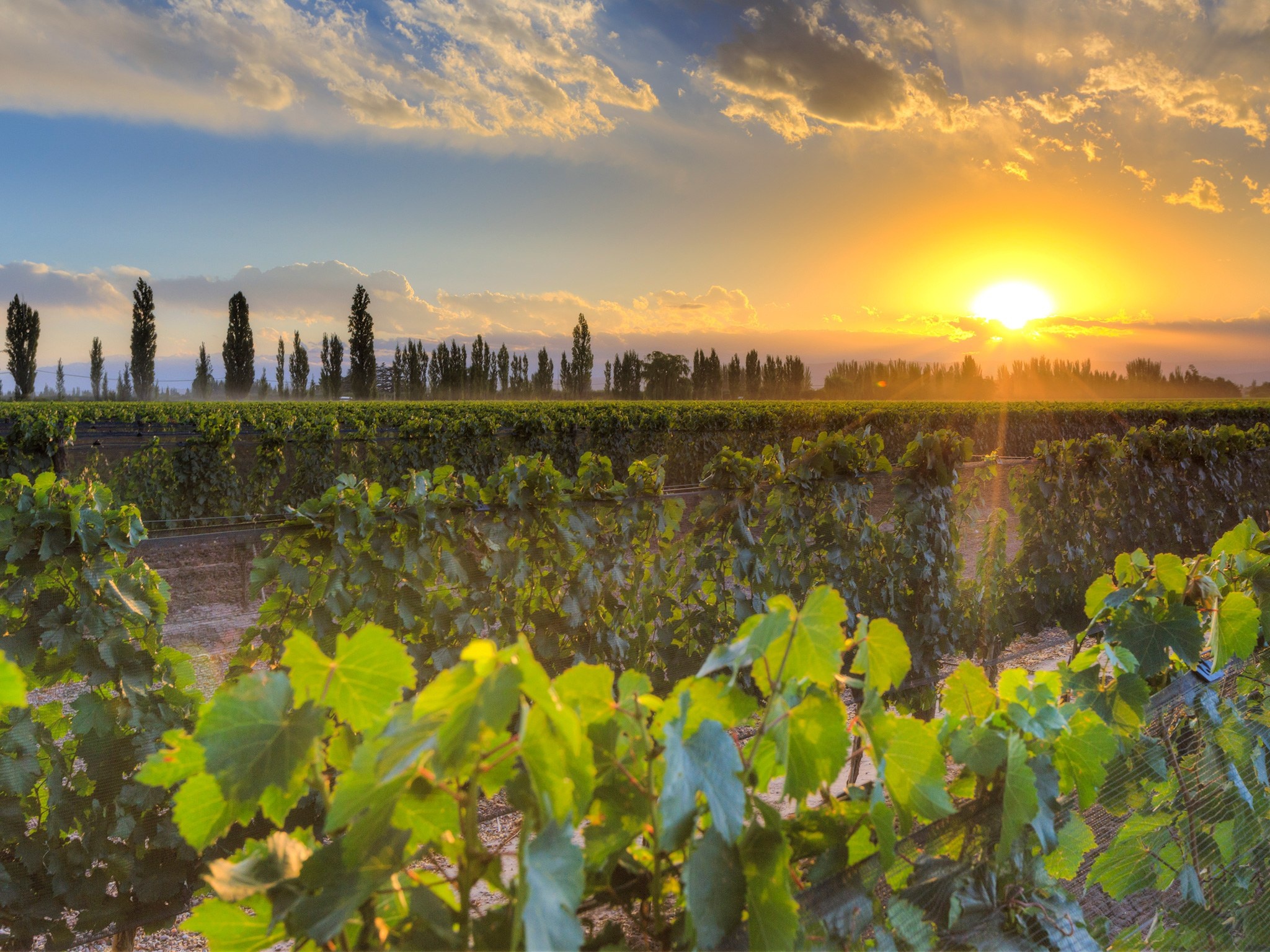 Du lich Nam My anh 11