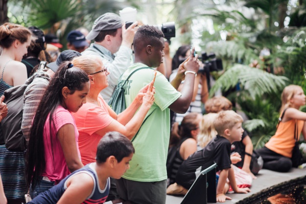 Hoa xac thoi o My anh 10