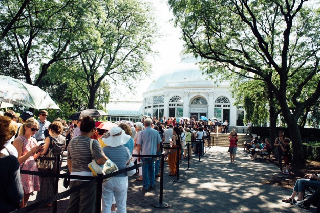 Hoa xac thoi o My anh 6