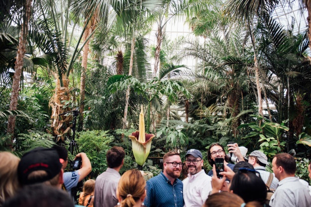 Hoa xac thoi o My anh 7