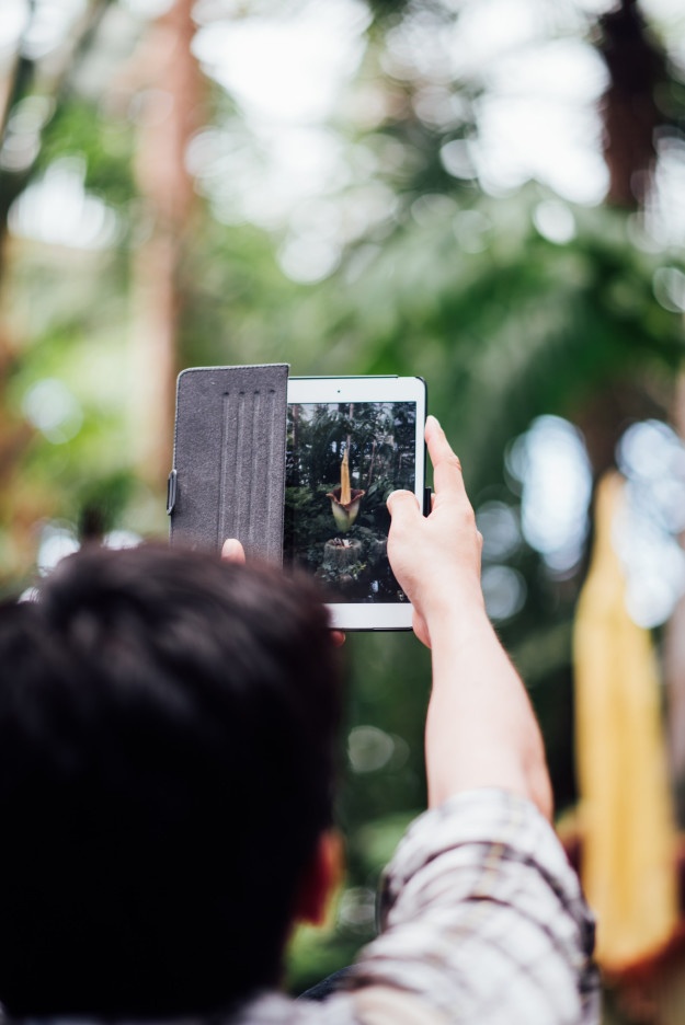 Hoa xac thoi o My anh 8