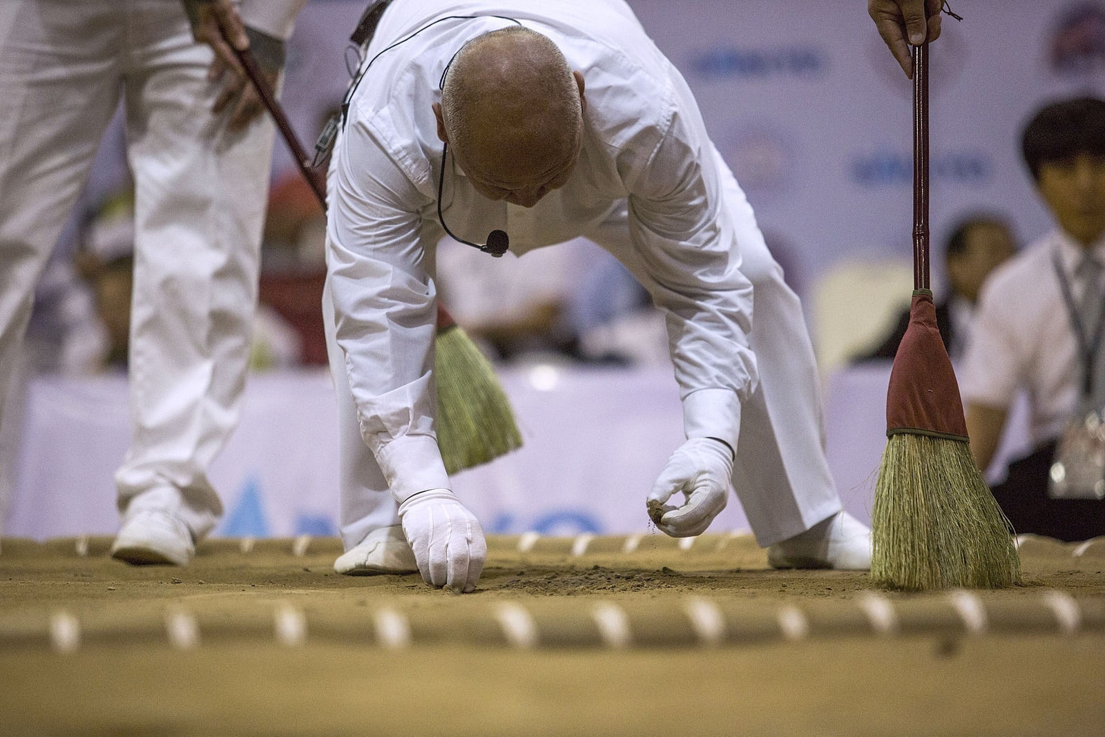 Giai vo dich sumo the gioi anh 17