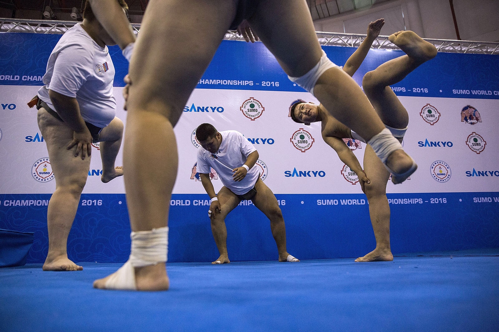 Giai vo dich sumo the gioi anh 9