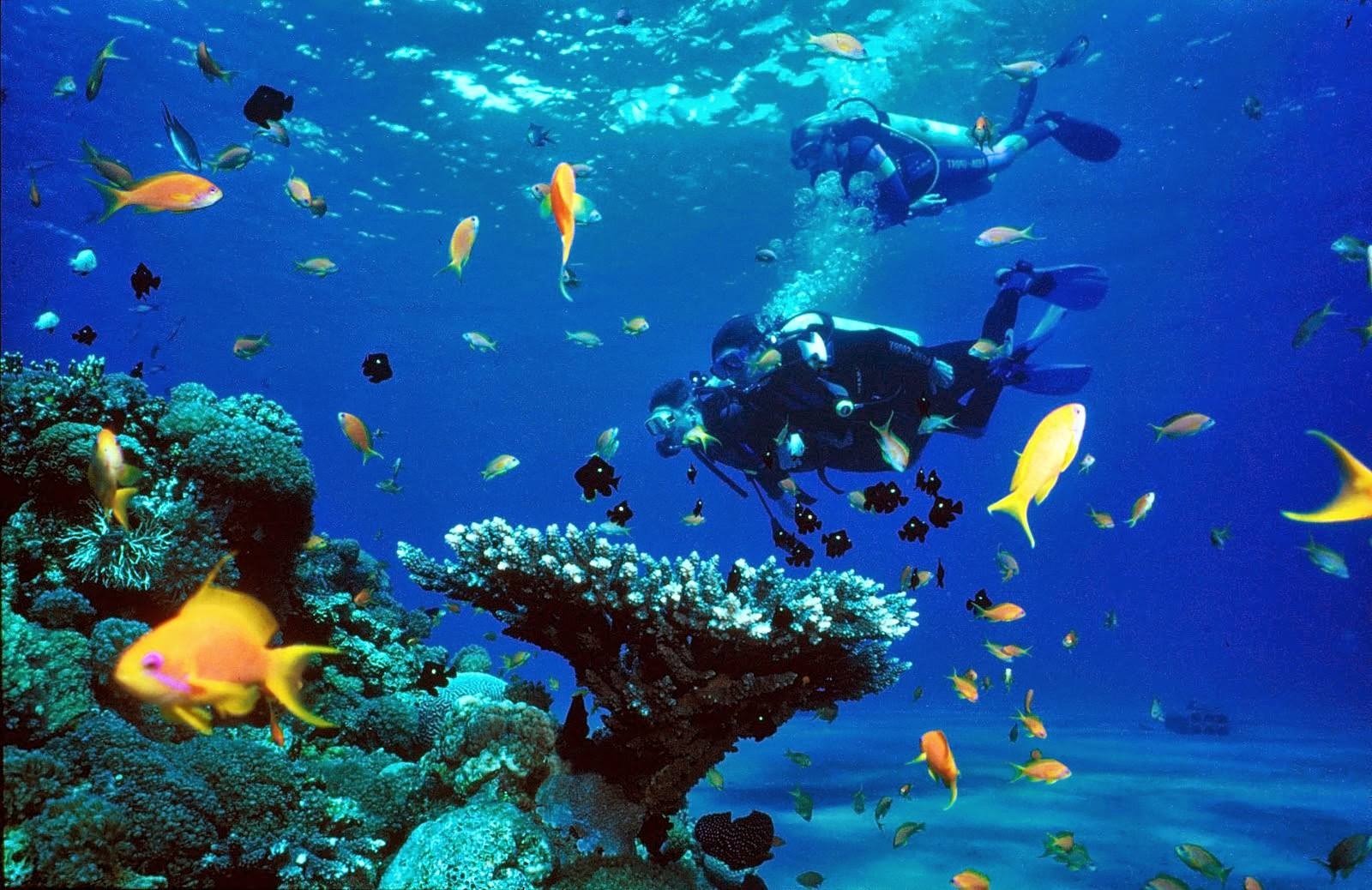 Phuket có gì ảnh 12 Phuket co gi anh 12