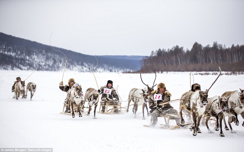 Bộ tộc săn sói ở Siberia ảnh 2 Bo toc san soi o Siberia anh 2