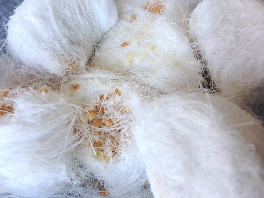 Nhung dac san ngon cua Trung quoc anh 10