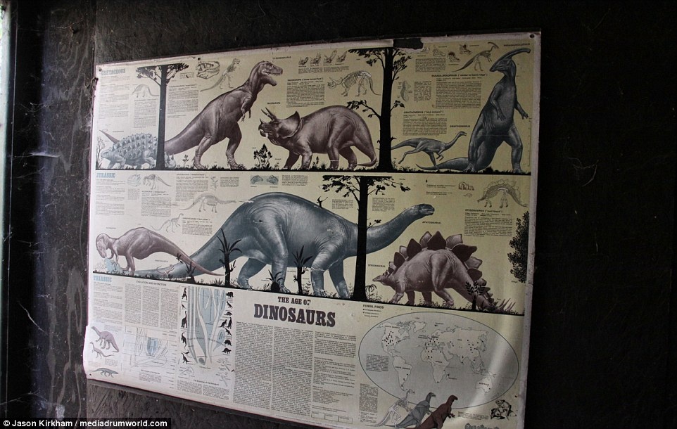 Cong vien khung long bi bo hoang anh 10