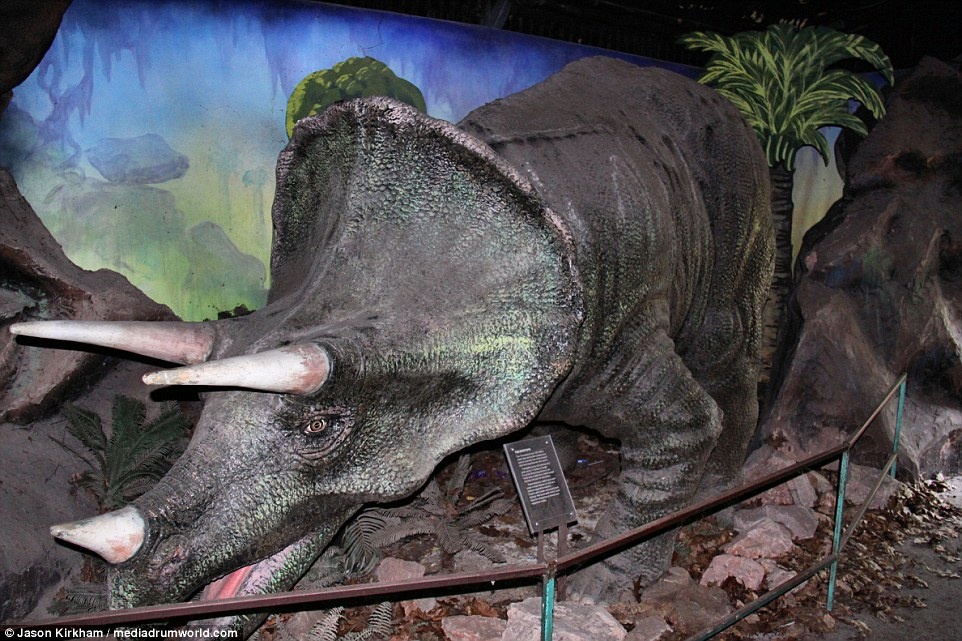 Cong vien khung long bi bo hoang anh 11