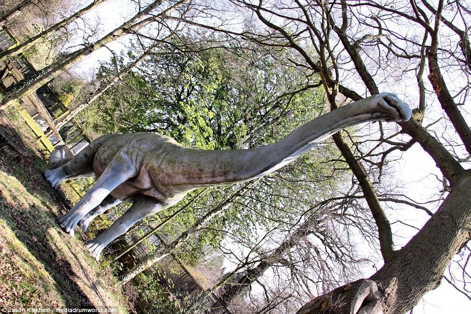 Cong vien khung long bi bo hoang anh 6