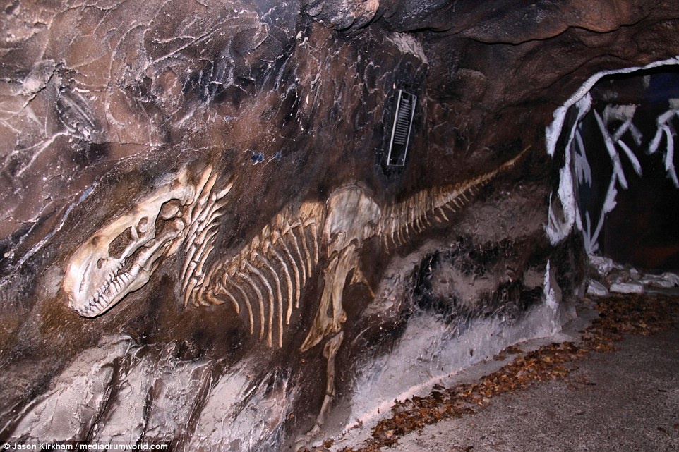 Cong vien khung long bi bo hoang anh 7