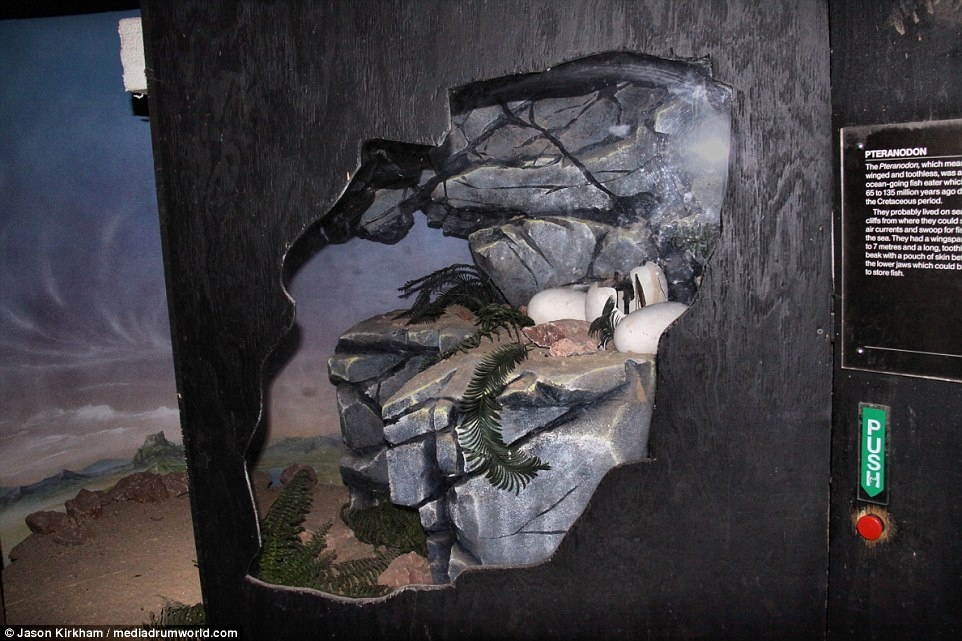 Cong vien khung long bi bo hoang anh 9