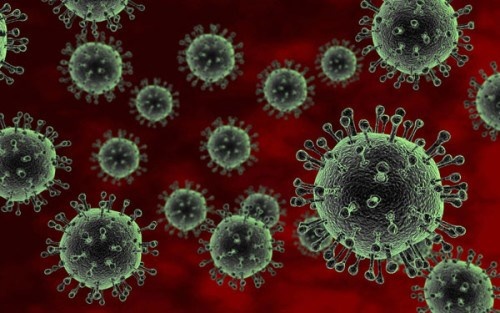 Canh giac voi virus khien 'phoi nau nhu bun' am anh bac si hinh anh
