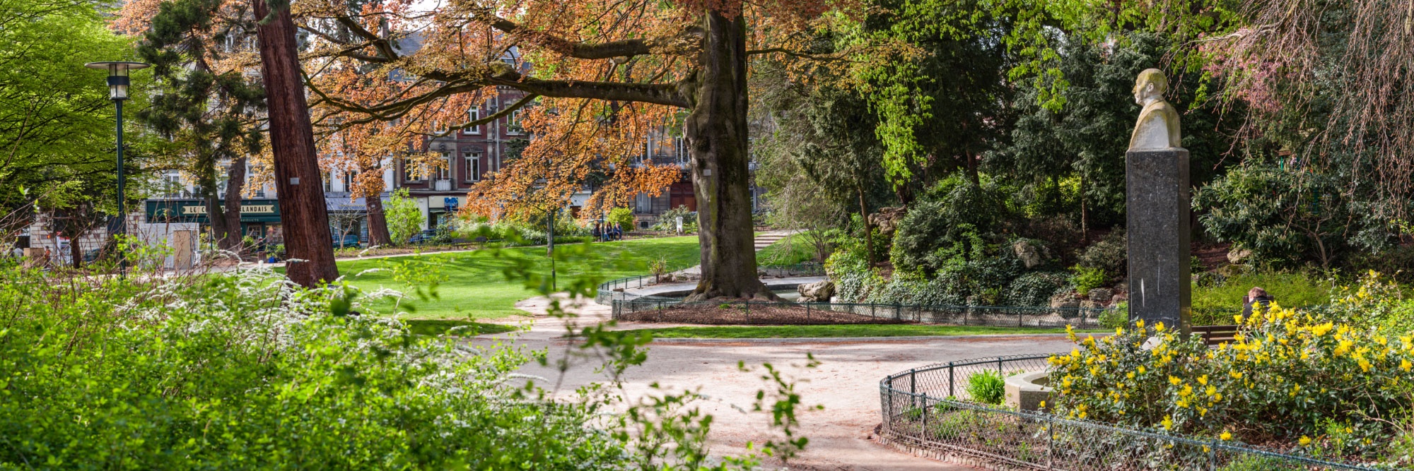 Nhung diem den thu vi o que huong cua Tong thong Phap anh 16