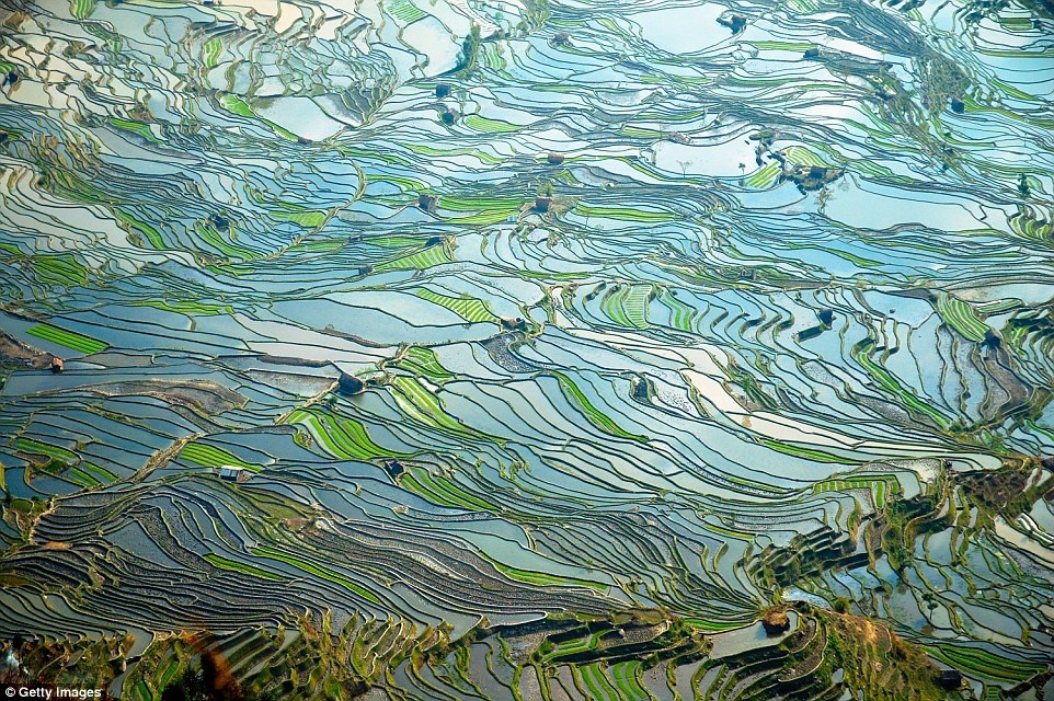 Nhung canh dep ngoan muc o Trung Quoc anh 1