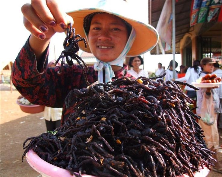 Món nhện đen đặc sản của Campuchia ảnh 5 Mon nhen den dac san cua Campuchia anh 5