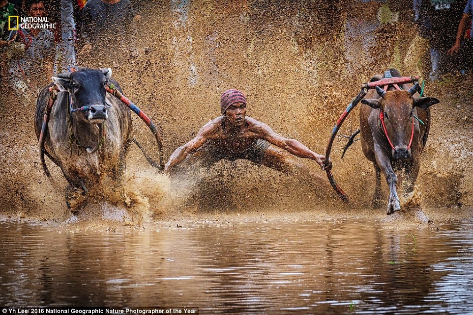 The gioi ky vi qua anh du thi cua National Geographic hinh anh