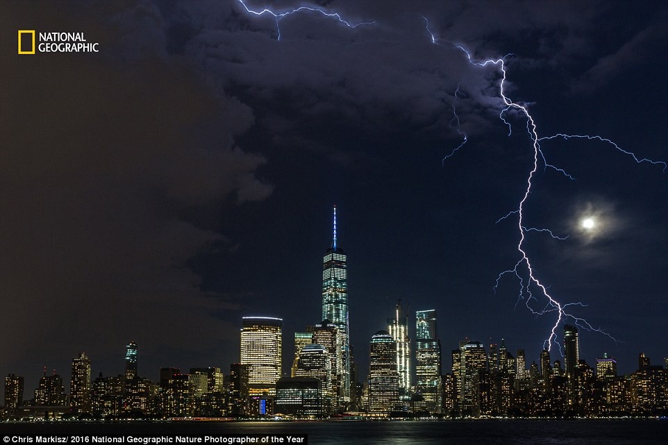 Anh du thi cua National Geographic 2016 anh 5