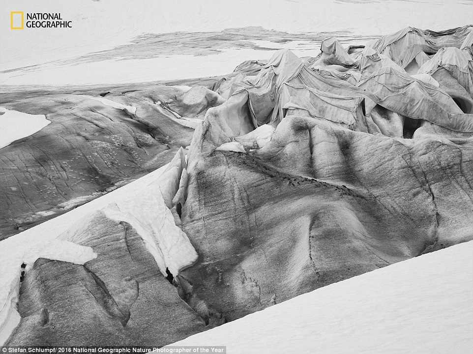 Anh du thi cua National Geographic 2016 anh 7