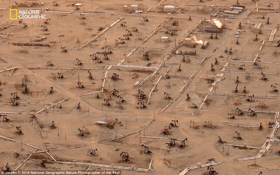 Anh du thi cua National Geographic 2016 anh 9