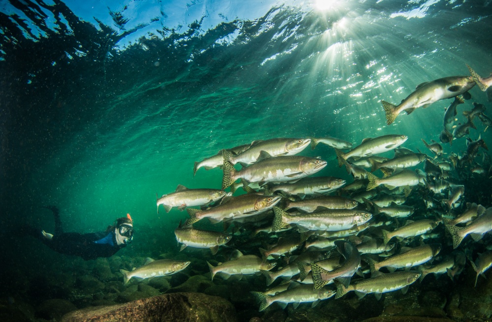 Nhung diem lan bien doc dao nhat the gioi anh 1