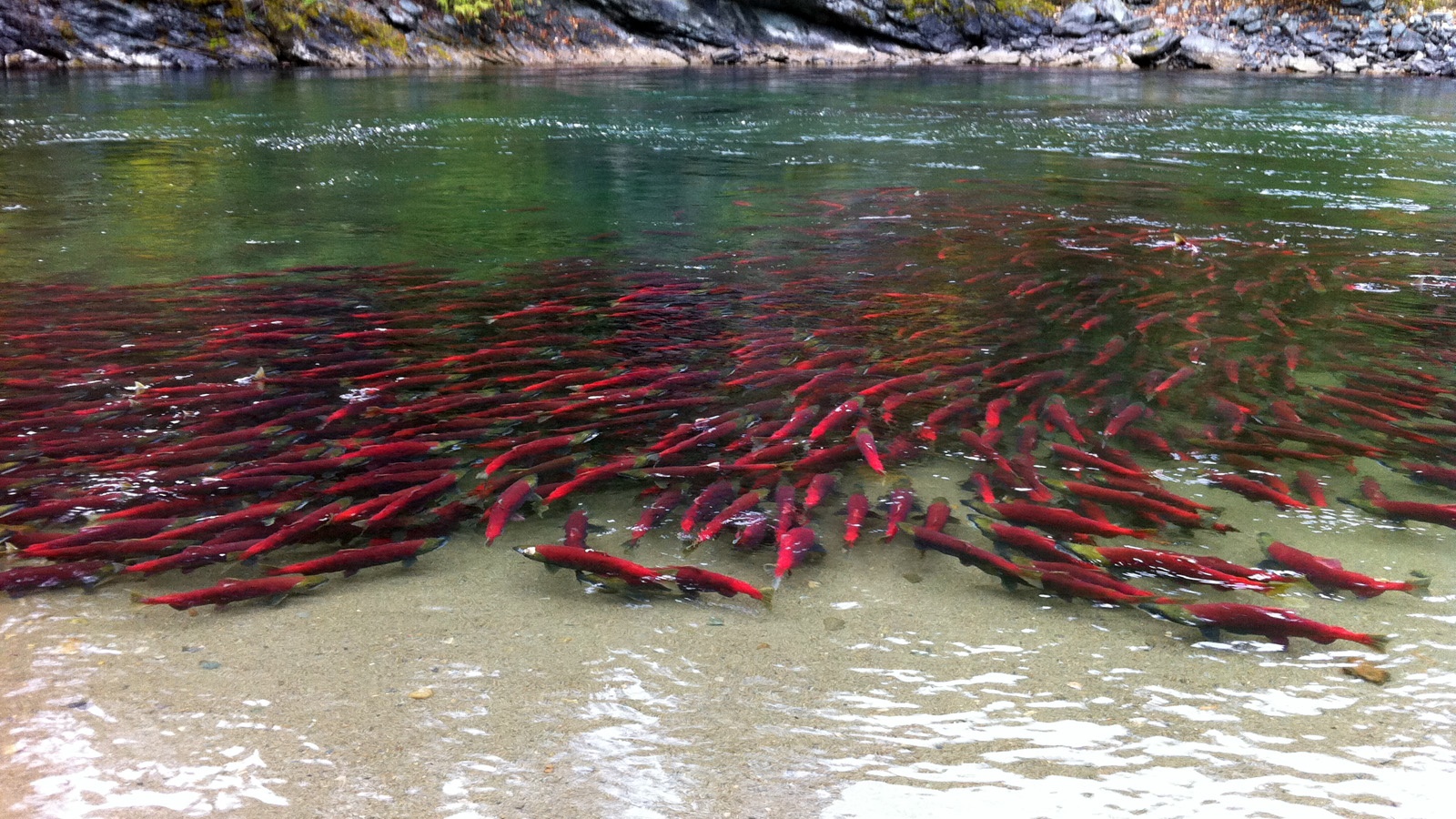 Nhung diem lan bien doc dao nhat the gioi anh 2